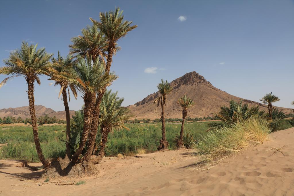 Dar Pienatcha Hotel Zagora Exterior photo